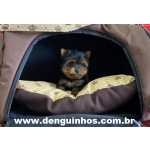 Yorkshire Terrier Filhote de Yorkshire Macho e Filhote de Yorkshire Fmea So Paulo So Caetano Do Sul