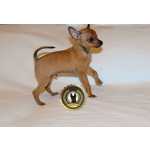 Pinscher Miniatura Pinscher Super Miniatura