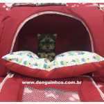 Yorkshire Terrier Filhote de Yorkshire Terrier em So Caetano no ABC