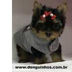 Yorkshire Terrier Yorkshire Terrier Macho e Yorkshire Terrier Fmea Filhote a venda no ABCD