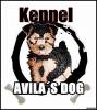 Kennel Avilas Dog