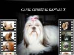 Canil Christal Kennel S